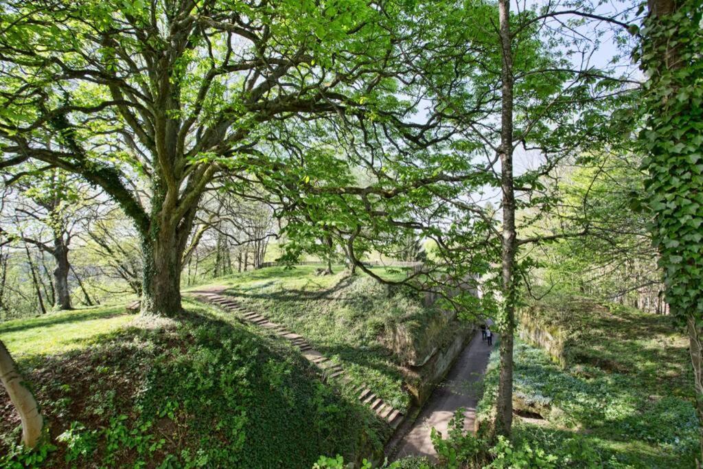 Maison Privilege Nature A La Petite Pierre Dış mekan fotoğraf