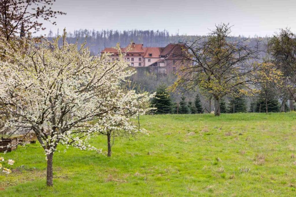 Maison Privilege Nature A La Petite Pierre Dış mekan fotoğraf